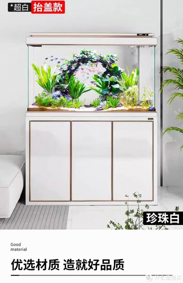 森森大型鱼缸:打造你的家庭水族乐园