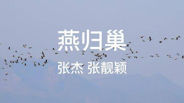 燕归巢-张杰 张靓颖日常分享好歌 歌曲分享推荐