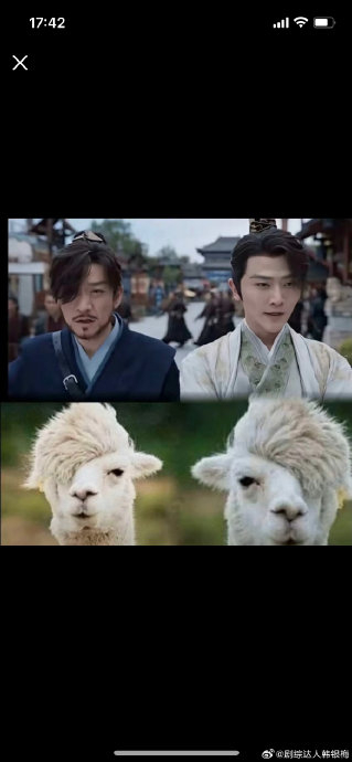 二皇子和手下都是属羊驼的?