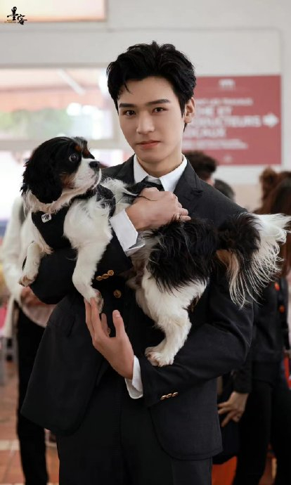 龚俊戛纳电影节饭拍 想变成龚俊怀里抱着的狗狗