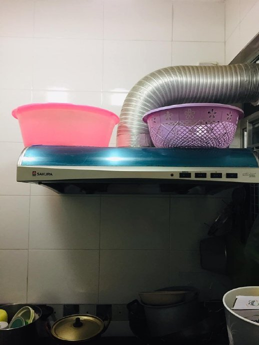 网友把脸盆放抽油烟机上,猫跳上直接坐在里面,被主人赶下来后