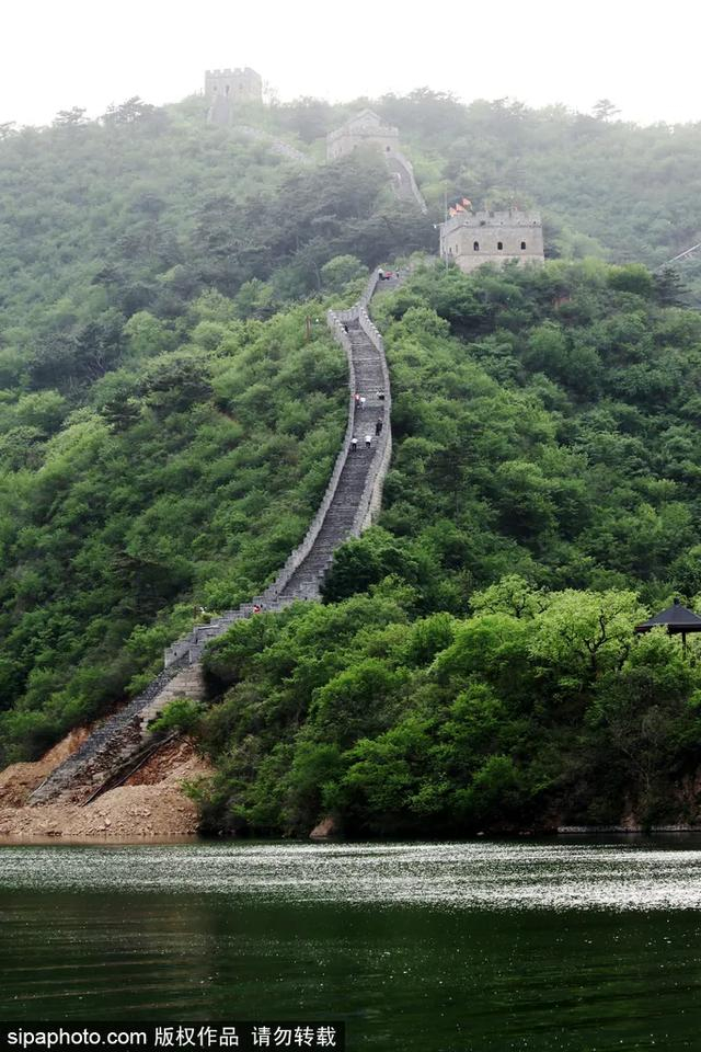 初夏长城,绿意盎然壮美如画|长城|万里长城|北京市_新浪新闻