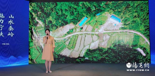 签约仪式上,宁陕县城关镇人民政府,筒车湾镇人民政府,广货街镇人民