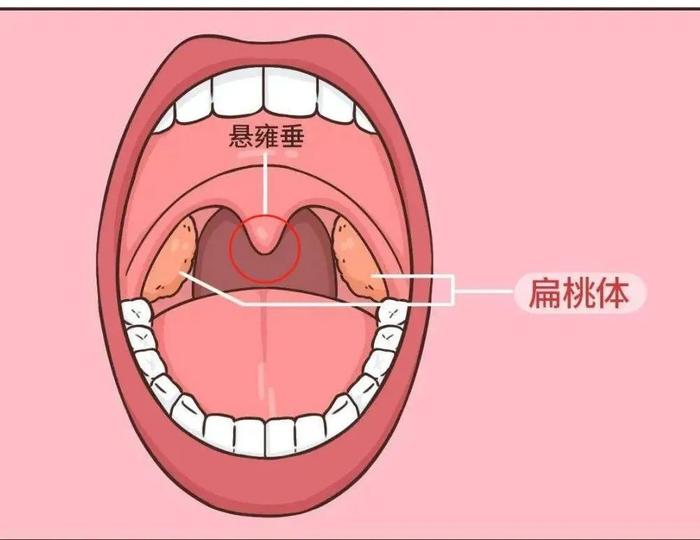 舌头挂号挂什么科(看舌头属于哪个科室)