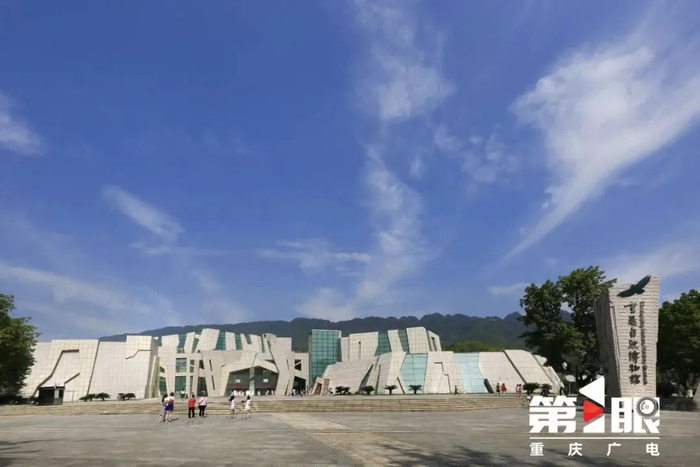 98万重庆人拥有一家博物馆,你最爱逛哪个?来投票!