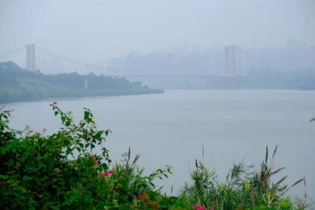 南宁将出现大范围强降雨|暴雨|南宁市