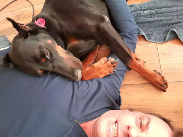 佩罗|英国|流浪猫_新浪新闻