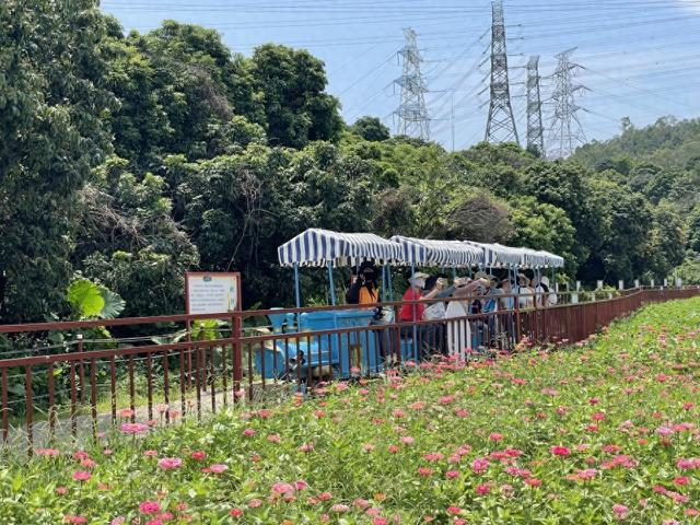 园山街道开展残疾人科技农园探索活动