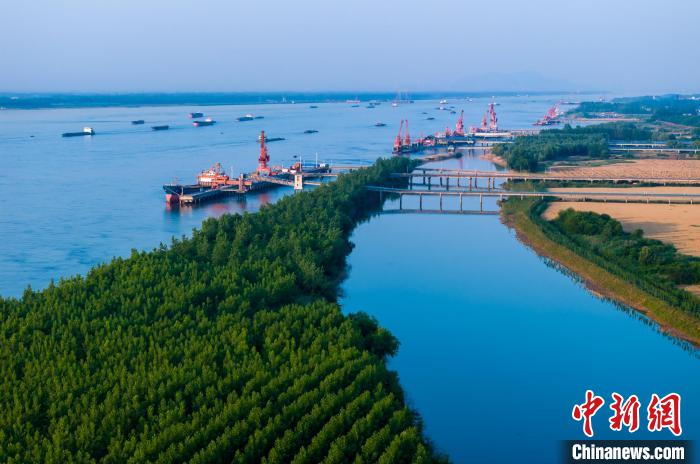 安徽贵池:长江岸线绿意浓 生态码头景色新