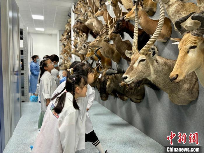 重庆自然博物馆首开珍品库房 公众赴珍贵标本之约
