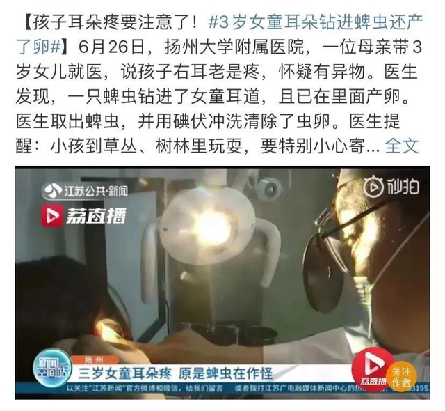 严重可致命!正在高发期……|蜱虫_新浪新闻