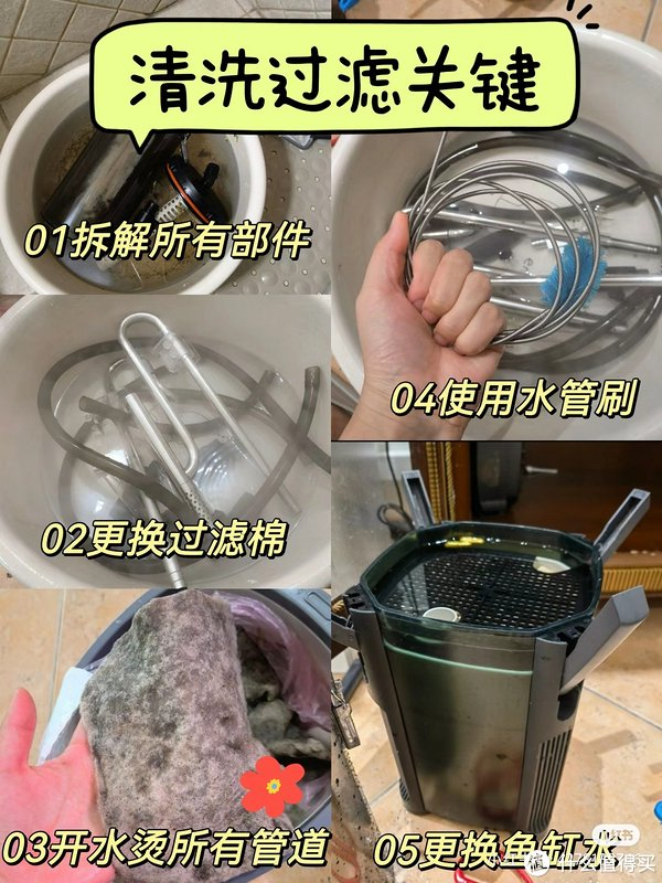 鱼缸维护全攻略!09新手养鱼必知