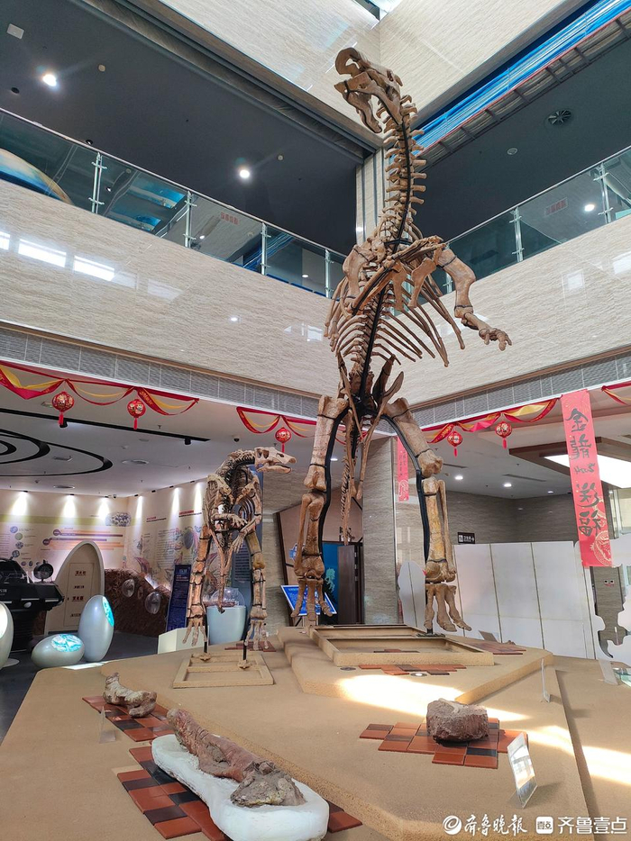 梦回白垩纪,邂逅大恐龙,探访莱阳市古生物化石博物馆