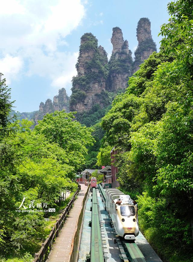 湖南张家界:夏日旅游升温