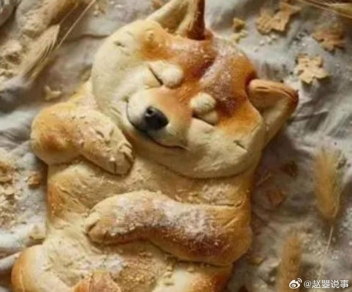 这个做面包的师傅真的是太有才了,看到这只睡懒觉的小狗,这么呆萌