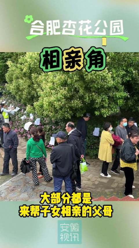 合肥杏花公园相亲角 子女不慌 父母慌