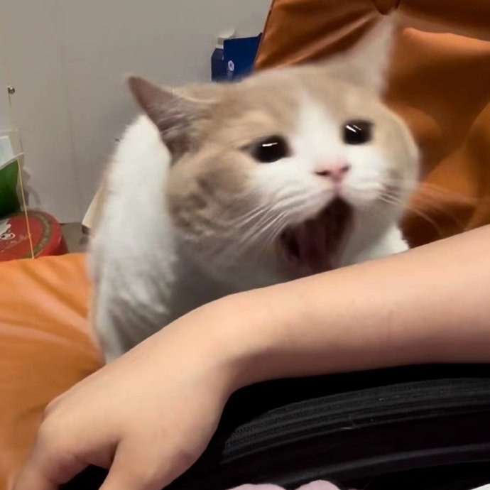 妈妈的胳膊! 咬一口!
