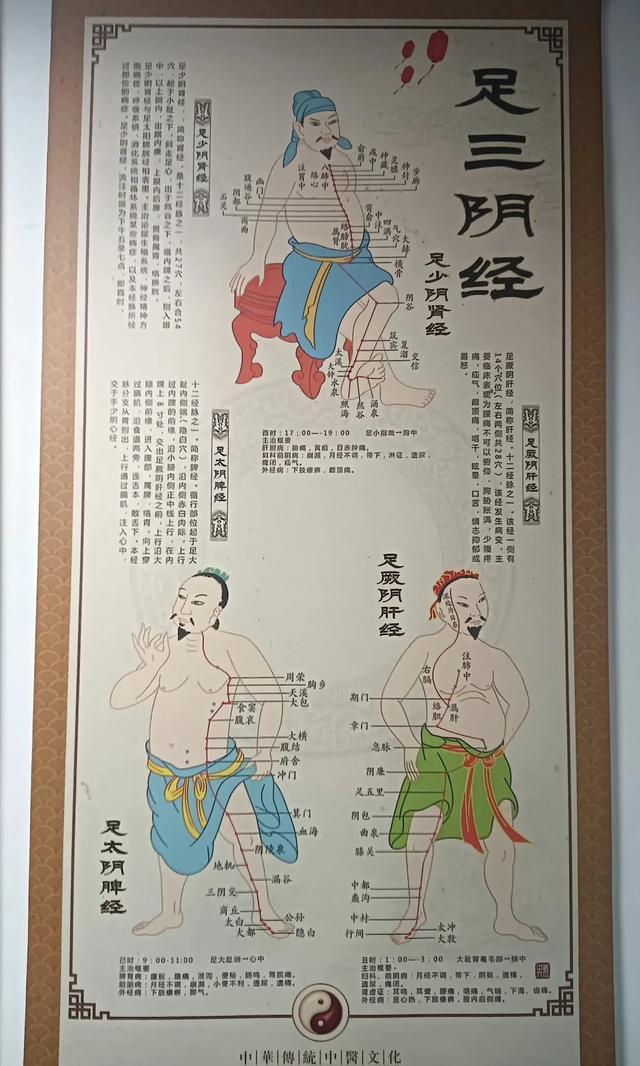 手与足三阳