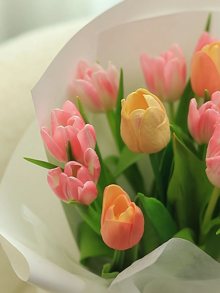 520:诗词里的"我爱你",原来这么美!