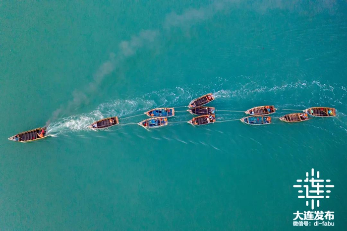 "大连鲜"叫响国际舞台|大连市|海鲜|佛跳墙_新浪新闻