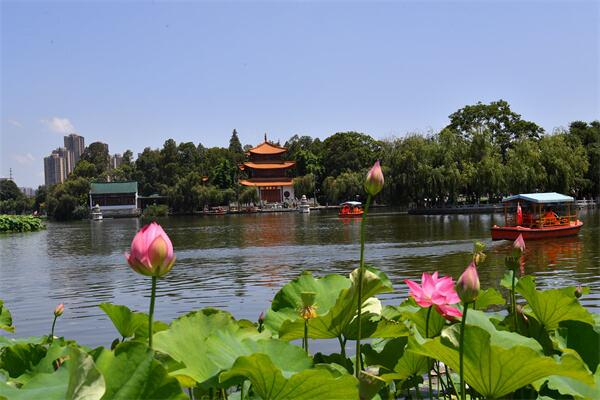 来昆明 旅一种很新的游|云南省|昆明市_新浪新闻