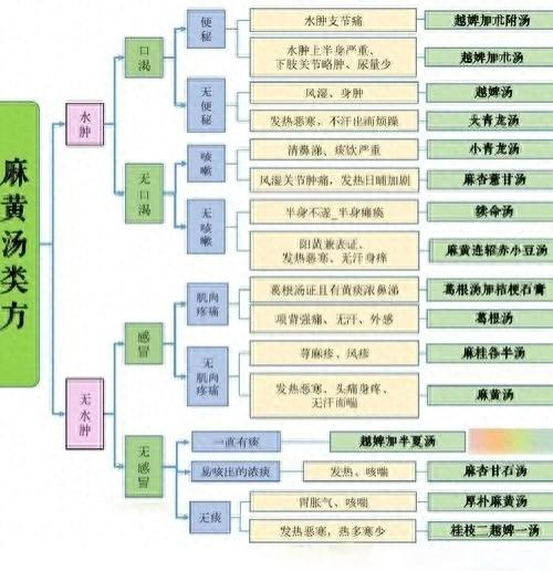 方剂运用思维导图,留存