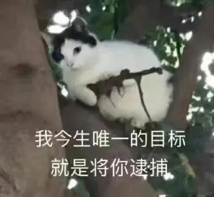 社会时钟让一让?条条大路通罗马!