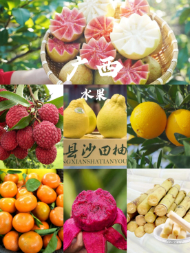 广西不仅有荔枝,香蕉,火龙果等南方常见的水果,就连看似北方专属的