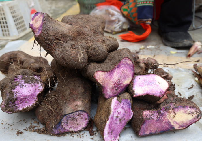 走啦嘛,星期六的上帕街逛起