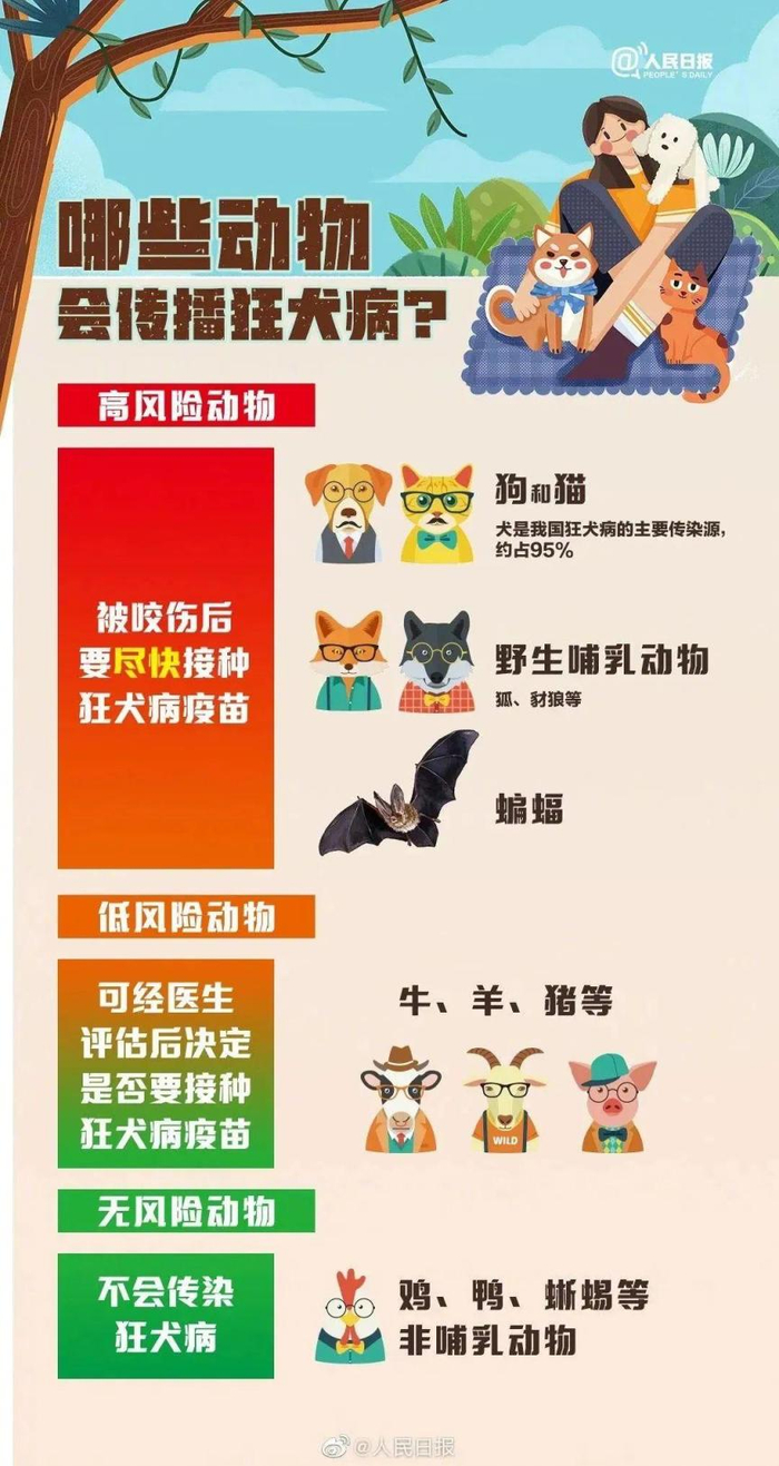 误区一:只有猫狗才会传染狂犬病你中招了吗?