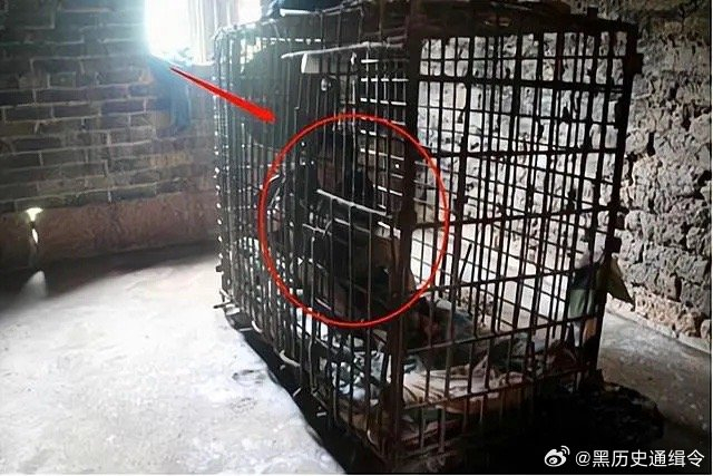 内蒙古商人因高利贷被铁笼沉水库,胡方权终获死刑判决|张宏|内蒙古
