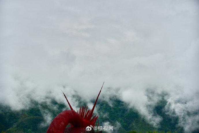 桂林猫儿山景区门票图片