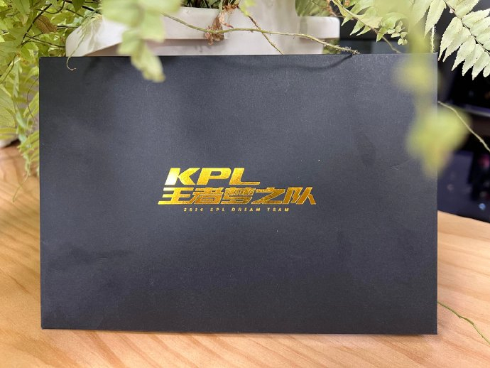 衷心感谢@kpl王者荣耀职业联赛 kpl联盟给予我们的支持与信任