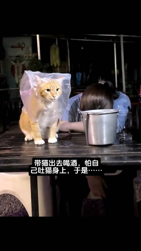 有种披麻戴孝的死寂感