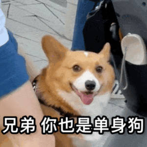 抖音最火表情包:哪只鱼会上钩呢 拿图请顺便吱一声 很难有动力发图了