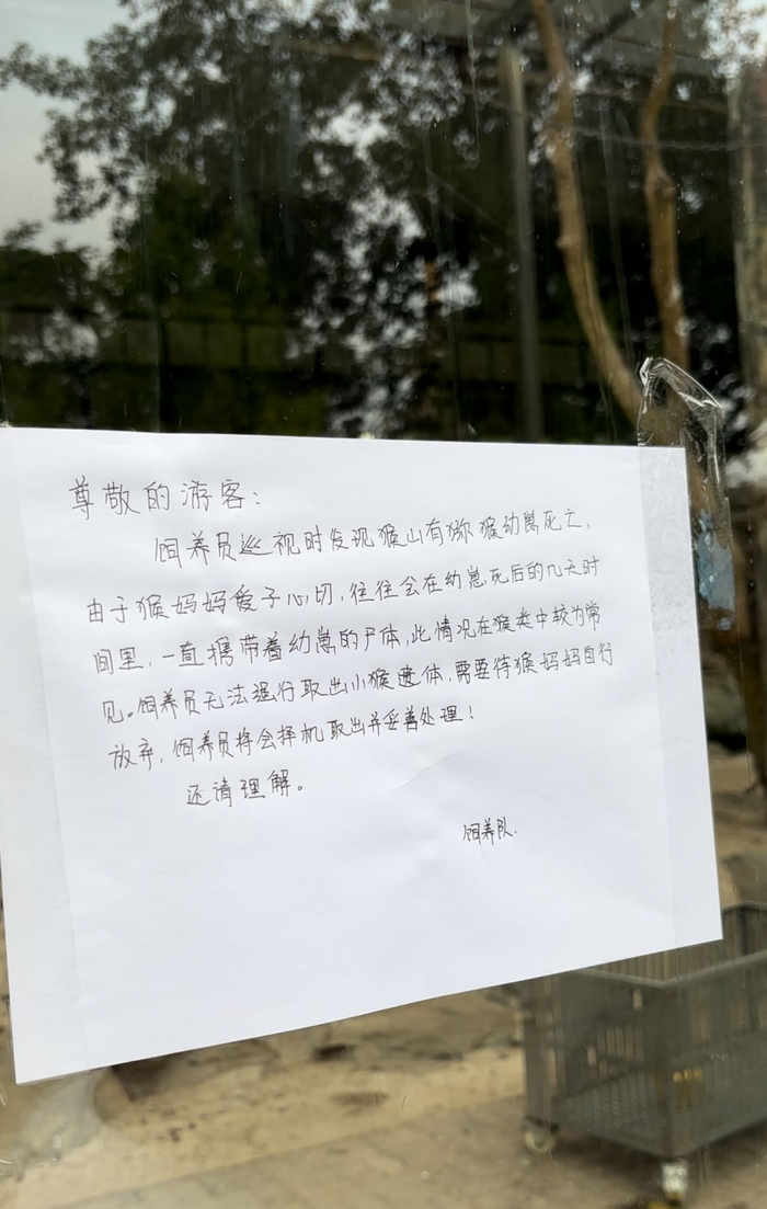 北京动物园饲养队张贴了提示，对小猴尸体处理情况进行说明。市民郭先生供图