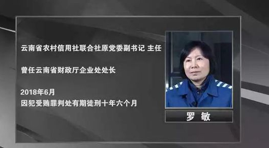 云南农信系统再掀反腐风暴|云南省|罗敏|落马_新浪新闻