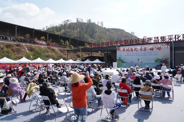 富民县"品出富民"农文旅促消费推广季暨罗免镇2024年民族团结杨梅推广