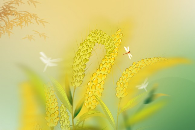 读书 | 古诗词中的小满