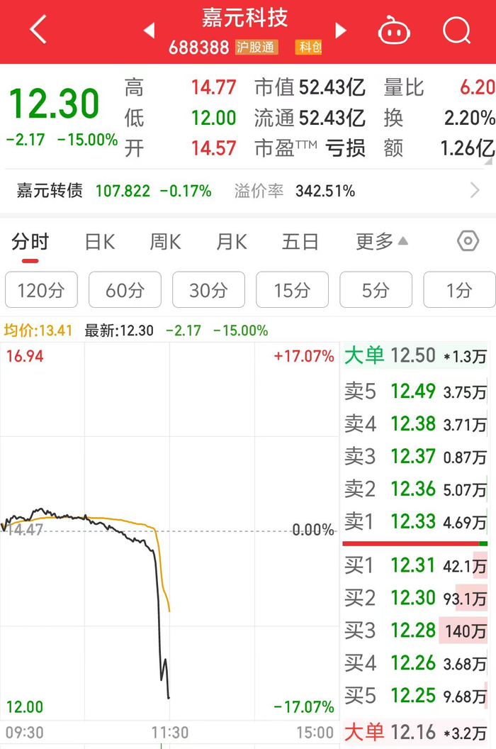 突发跳水,一度跌超17%,嘉元科技回应