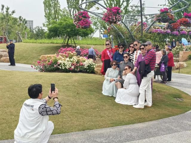 上海(国际)花展上海植物园主会场亮点频现