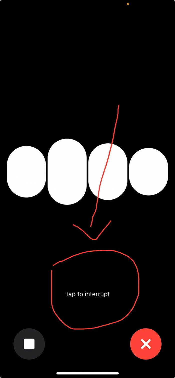 图：ChatGPT iOS app