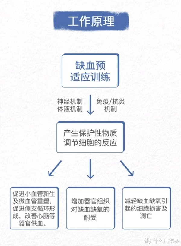宣医通缺血预适应训练仪
