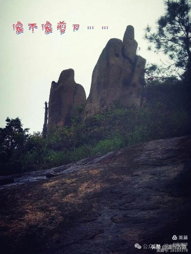 看准一处最佳的点,让队友光头强和爱的国度先上去,再放下绳子,发扬