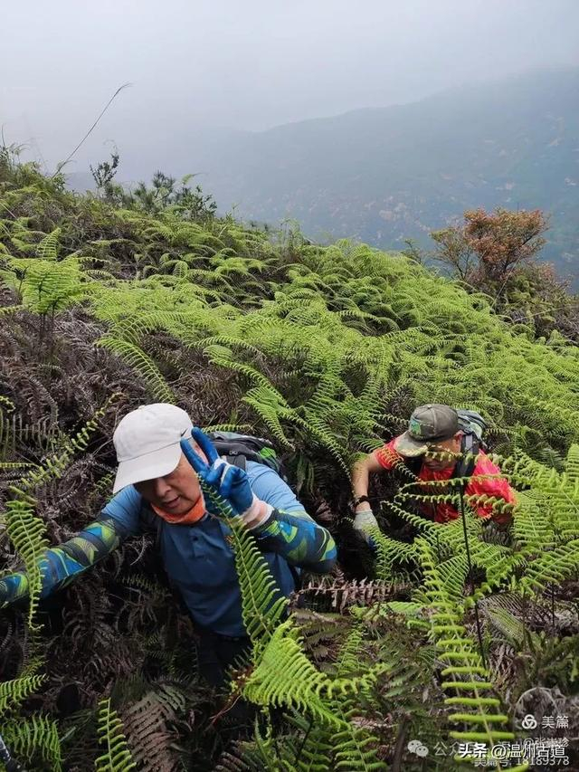 野猪岭——象鼻岩——剪刀崖,大罗山这条新路线你走过吗?