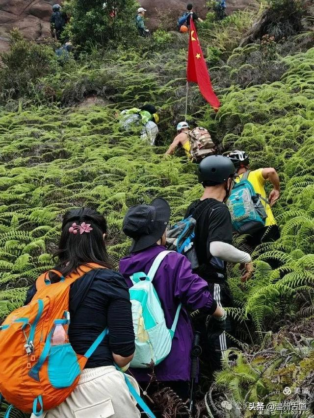 野猪岭——象鼻岩——剪刀崖,大罗山这条新路线你走过吗?