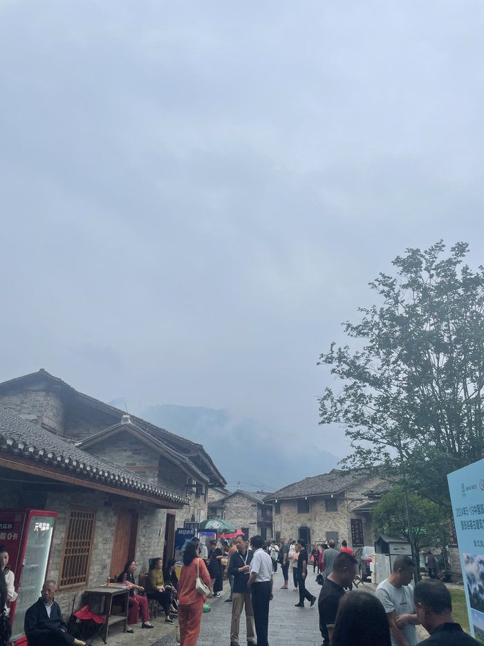 5月19日,中国旅游日湖南宣传活动暨张谷英古建筑文化旅游推广活动在
