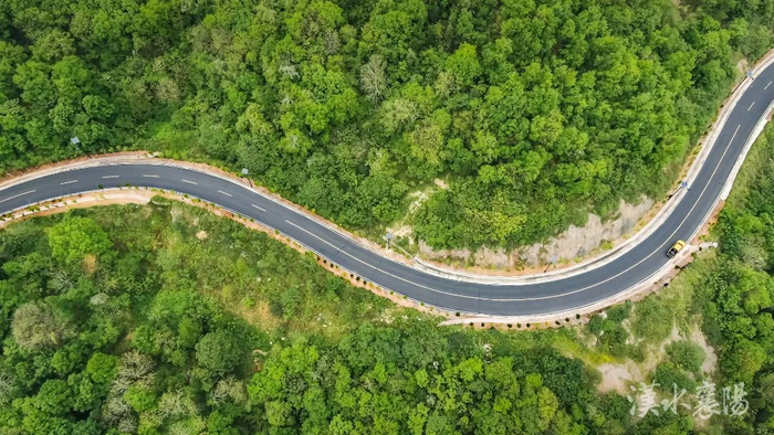 该线路将古隆中,襄阳野生动物园,七里山森林公园,林果花海产业基地等