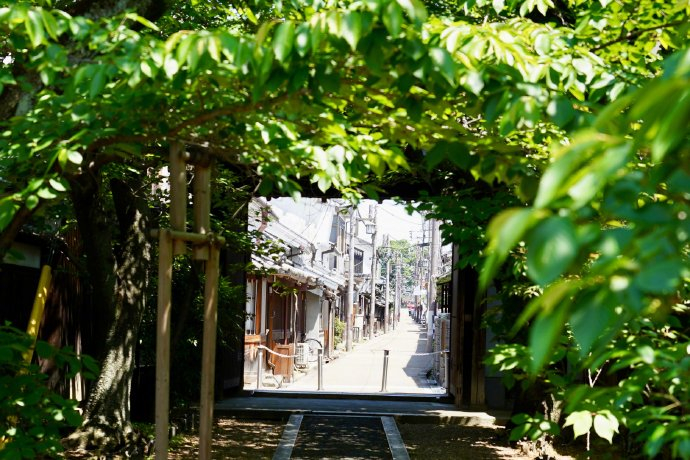 日本漫步旅行和拍照的好去处|去处|日本|织田信长_新浪新闻