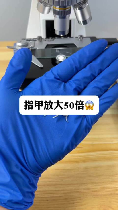 显微镜下的手指甲,看完你还敢啃手指吗? 676767转给孩子看看